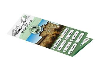 Brochure copy.jpg
